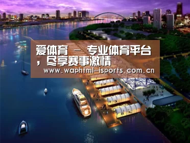 案例展示八(图1) 案例展示八(图1)