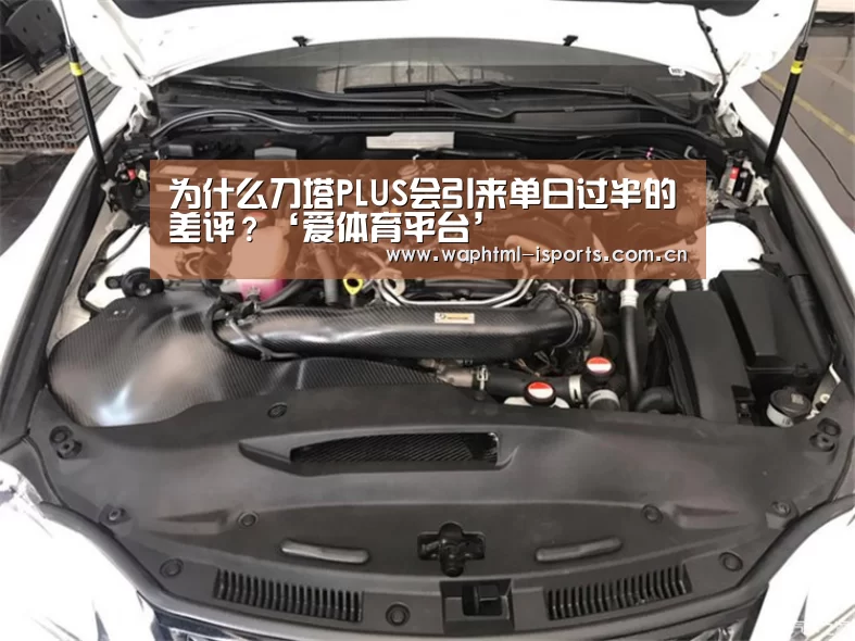 爱体育APP
