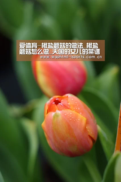 爱体育-椒盐蘑菇的做法_椒盐蘑菇怎么做_天国的女儿的菜谱(图3) 爱体育